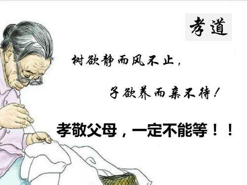 子欲养而亲不待,传承孝道的时代思考