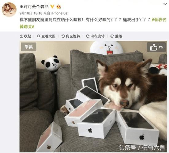 两年当狗一朝翻身(跪了两年终于一朝翻身)(金子终有翻身日),终成璀璨——从狗年逆袭到辉煌时刻