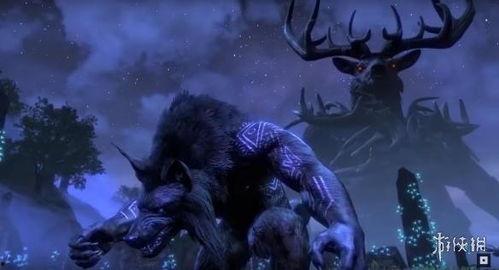 猎狼人,揭秘顶尖猎手的不凡之路