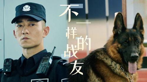 七小汪警犬队,忠诚守护，智慧破案